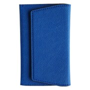 IN11213 [STICKY CARD CASE BL]