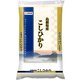 精米 島根県産 こしひかり 5kg 令和6年産