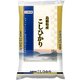 精米 島根県産 こしひかり 10kg 令和6年産