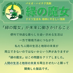 ヨドバシ.com - ミマスクリーンケア 緑の魔女 オートキッチン 食器洗い
