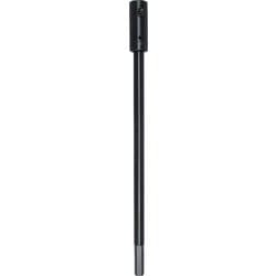 T30843-10X 10MM エクステンション 250MM (10X)