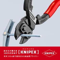 ヨドバシ.com - KNIPEX クニペックス 7101-250 [小型クリッパー SB