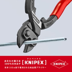 ヨドバシ.com - KNIPEX クニペックス 7131-250 [小型クリッパー リセス