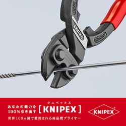 ヨドバシ.com - KNIPEX クニペックス 7131-250 [小型クリッパー リセス