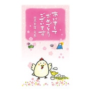 2017年 年賀状パック スタンダード 5枚入り 2017-A-4