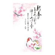 2017年 年賀状パック スタンダード 5枚入り 2017-A-11