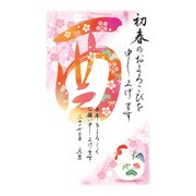 2017年 年賀状パック スタンダード 5枚入り 2017-A-14