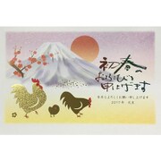 2017年 年賀状パック 金箔カラー 3枚入り 2017-D-19