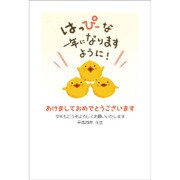 2017年 お年玉付き年賀はがき 5枚パック 2017-No.08