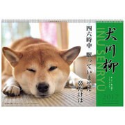 1000080062 [2017年 壁掛けカレンダー 犬川柳 月めくり]