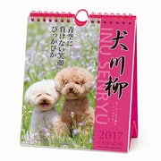 1000080072 [2017年 卓上カレンダー プードル川柳 週めくり]