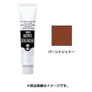 アクリルガッシュ 普通色 100ml バーントシェナー AG100034