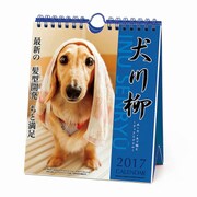 1000080068 [2017年 卓上カレンダー ダックス川柳（週めくり）]