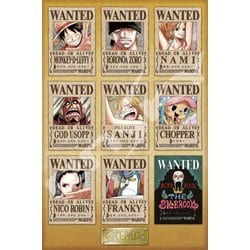 ヨドバシ Com エンスカイ Ensky 1000 569 ワンピース New Wanted Posters ジグソーパズル 1000ピース 完成サイズ 50 75cm 通販 全品無料配達