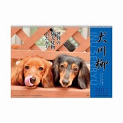 1000080064 [2017年版 壁掛けカレンダー ダックス 川柳]