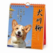 1000080071 [2017年版 卓上カレンダー コーギー 川柳（週めくり）]