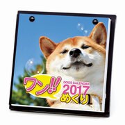 1000080075 [2017年版 卓上カレンダー ワン！！ めくり/スタンド付（日めくり）]