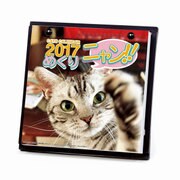 1000080077 [2017年版 卓上カレンダー ニャン！！ めくり/スタンド付（日めくり）]