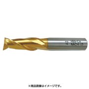 Gミディアムエンドミル 1×S2 2MGE1