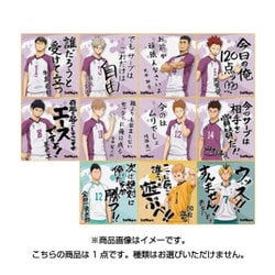ヨドバシ Com エンスカイ Ensky ハイキュー ビジュアル色紙コレクション3 通販 全品無料配達