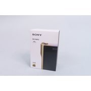 海外仕様 メモリーオーディオ WALKMAN (ウォークマン) 256GB NW-WM1Z NM E