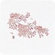 和風コースター四季角(50枚入) WCO-K3 桜 PKCH1