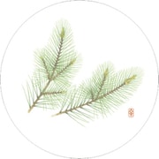 PKCJ8 [和風コースター四季丸(50枚入) WCO-M1 松]
