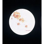 和風コースター四季丸(50枚入) WCO-M7 もみじ PKCK4