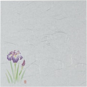 遠赤抗菌和紙 花ごよみ懐敷(200枚入) あやめ W4-4 QSK80004