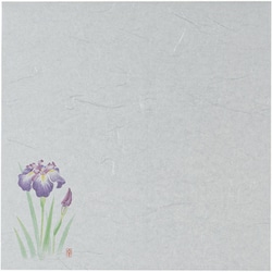遠赤抗菌和紙 花ごよみ懐敷(200枚入) あやめ W5-4 QSK80005