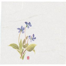 ニュー四季懐紙 4寸(100枚入) NS-16 すみれ QKIF501