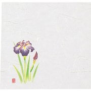 ニュー四季懐紙 4寸(100枚入) NS-20 あやめ QKIF901