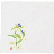 ニュー四季懐紙 4寸(100枚入) NS-21 つゆ草 QKIG001
