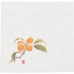 ニュー四季懐紙 4寸(100枚入) NS-22 びわ QKIG101