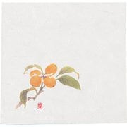 ニュー四季懐紙 4寸(100枚入) NS-22 びわ QKIG101