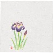 QKIH901 [ニュー四季懐紙 5寸(100枚入) NS-7 あやめ]