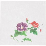ニュー四季懐紙 5寸(100枚入) NS-9 朝顔 QKIJ101