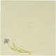 5寸懐紙 四季の花(100枚入) S5-5 あやめ QKIC1