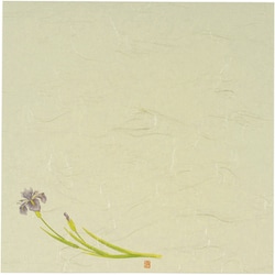5寸懐紙 四季の花(100枚入) S5-5 あやめ QKIC1