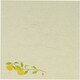 5寸懐紙 四季の花(100枚入) S5-14 ゆず QKID0