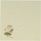 5寸懐紙 四季の花(100枚入) S5-18 はす・仏事 QKID4