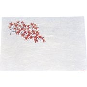 遠赤抗菌和紙 尺3まっと(100枚入) 紅葉 WS-13 QMT30