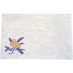 遠赤抗菌和紙 尺3まっと(100枚入) びわ WS-17 QMT34