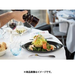 ヨドバシ.com - STAUB ストウブ シャローオーバル ホット