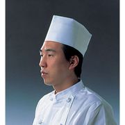SHT30 [使い捨て中華帽子 D31110 (50枚入)]