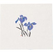 QSV16 [鮮度保持紙(100枚入) あやめ M30-091]