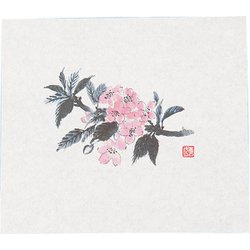 鮮度保持紙(100枚入) 桜 M30-095 QSV20