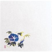 QTI12 [耐油懐敷18角(100枚入) 朝顔 M30-224]
