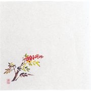QTI16 [耐油懐敷18角(100枚入) 南天 M30-228]