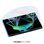 立体懐敷 花草紙 オーロラ(100枚入) M30-471 QLT02